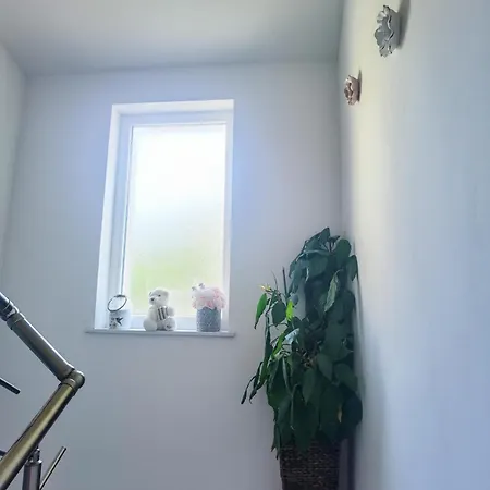 Apartment Lana *